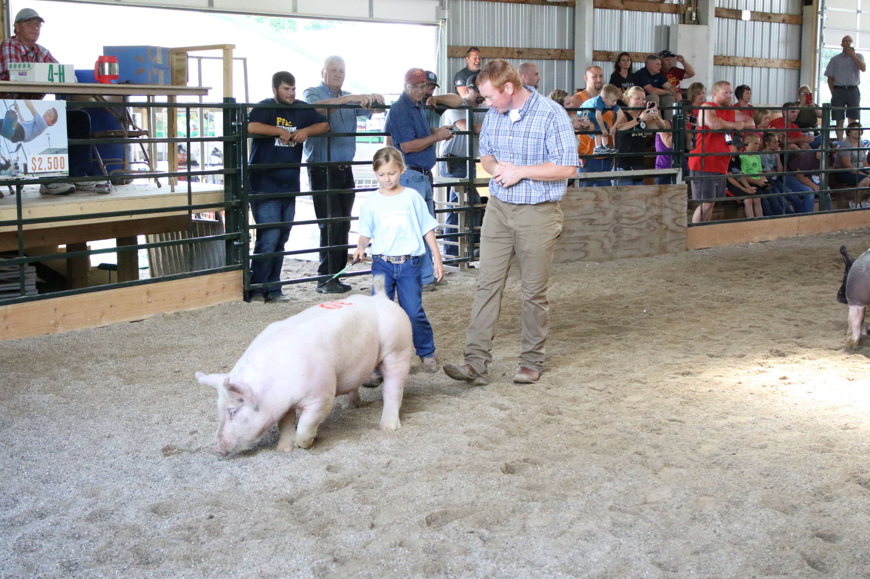 Pig Show (6).JPG